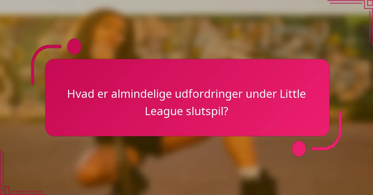 Hvad er almindelige udfordringer under Little League slutspil?