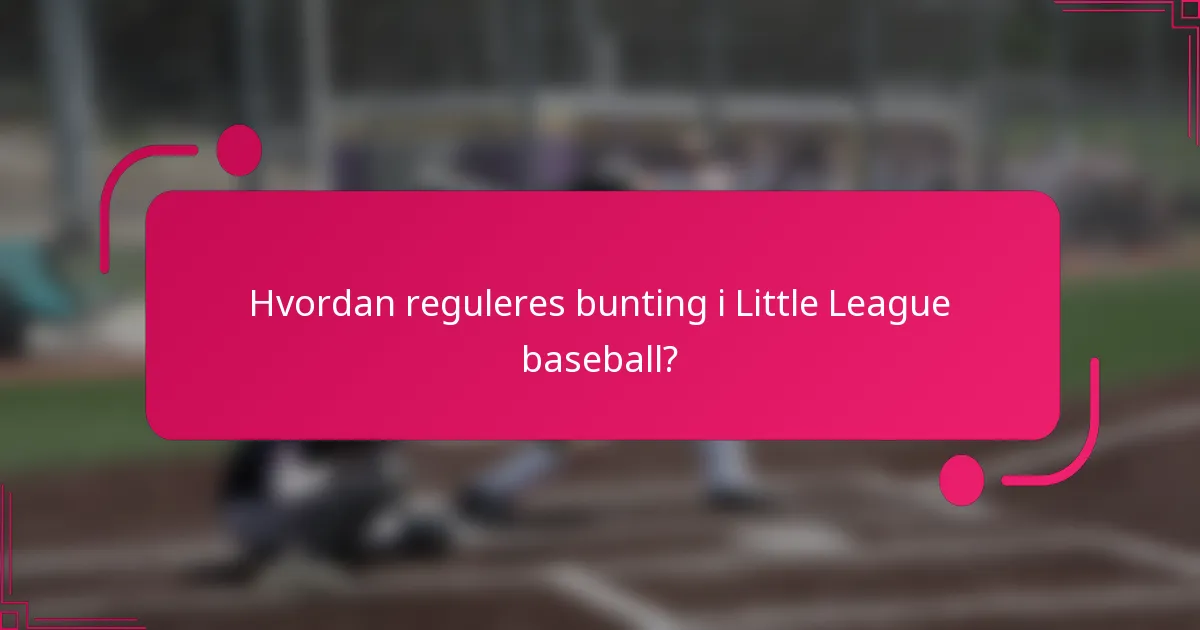 Hvordan reguleres bunting i Little League baseball?